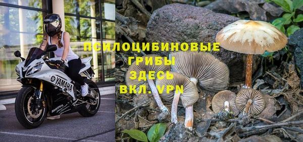 меф VHQ Кодинск